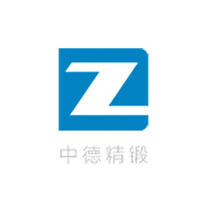 盐城中德精锻股份有限公司