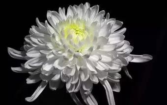 唁 电丨沉痛悼念肖景容同志