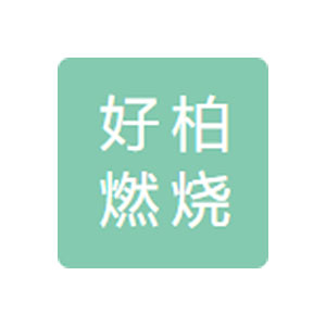上海好柏燃烧设备科技有限公司