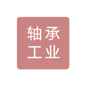 重庆轴承工业公司