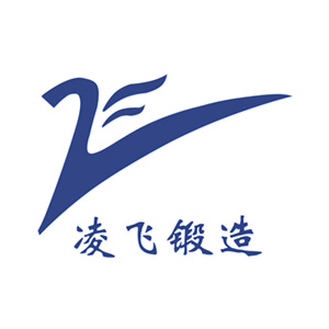 江苏凌飞锻造有限公司