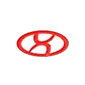 定州市金华蓝天汽车零部件有限公司